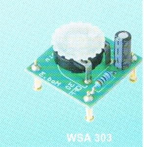 WSA 303